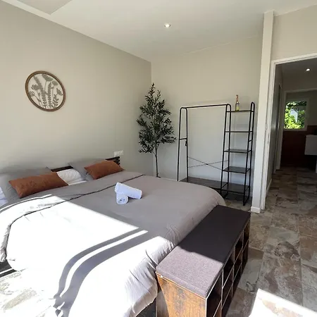 Entre Pins Et Oliviers - Maison A La Milesse - 6P *